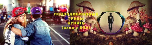 эйфоретик Балахна