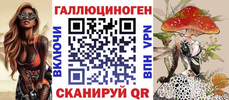 блэк спрут зеркало  Демидов  Галлюциногенные грибы GOLDEN TEACHER 